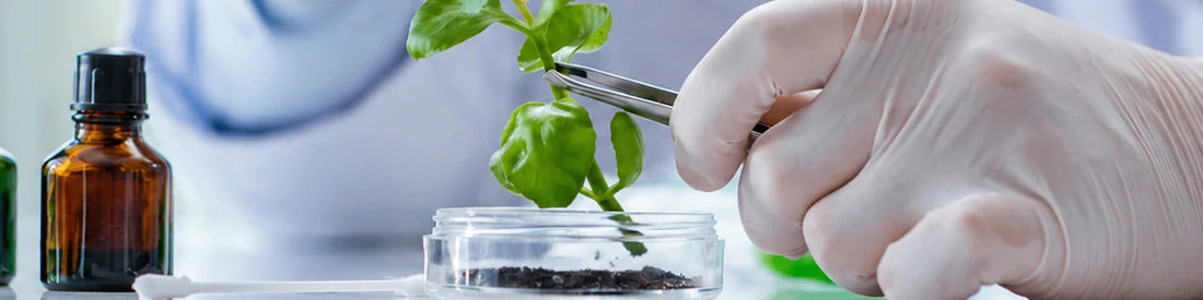Biotecnología vegana en cosmética: qué es y por qué es el nuevo “Clean & High-Tech”
